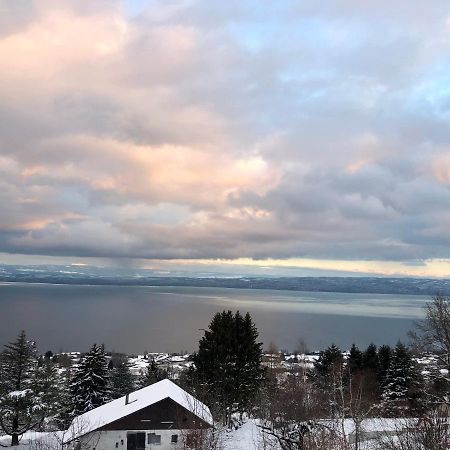Les Vies En Rose Leilighet Évian-les-Bains Eksteriør bilde