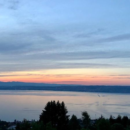 Les Vies En Rose Leilighet Évian-les-Bains Eksteriør bilde
