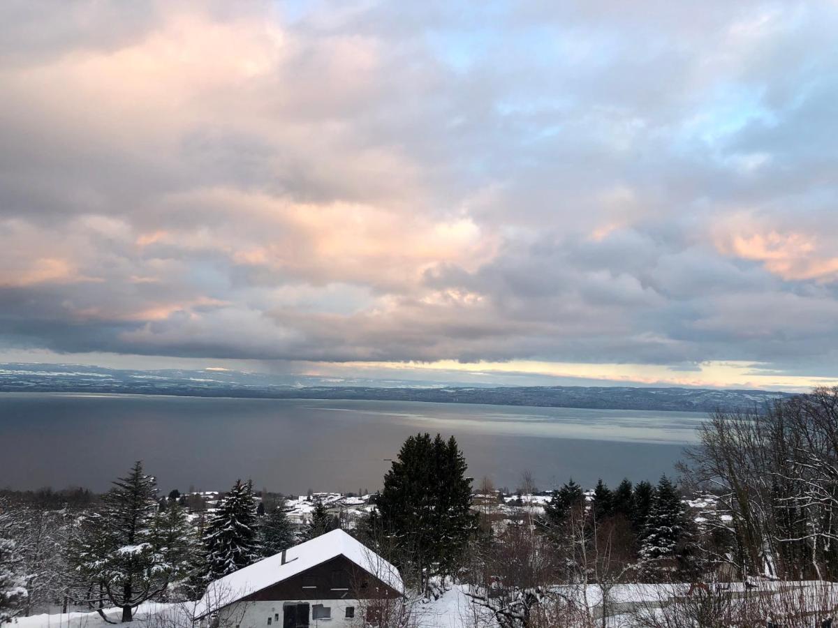 Les Vies En Rose Leilighet Évian-les-Bains Eksteriør bilde