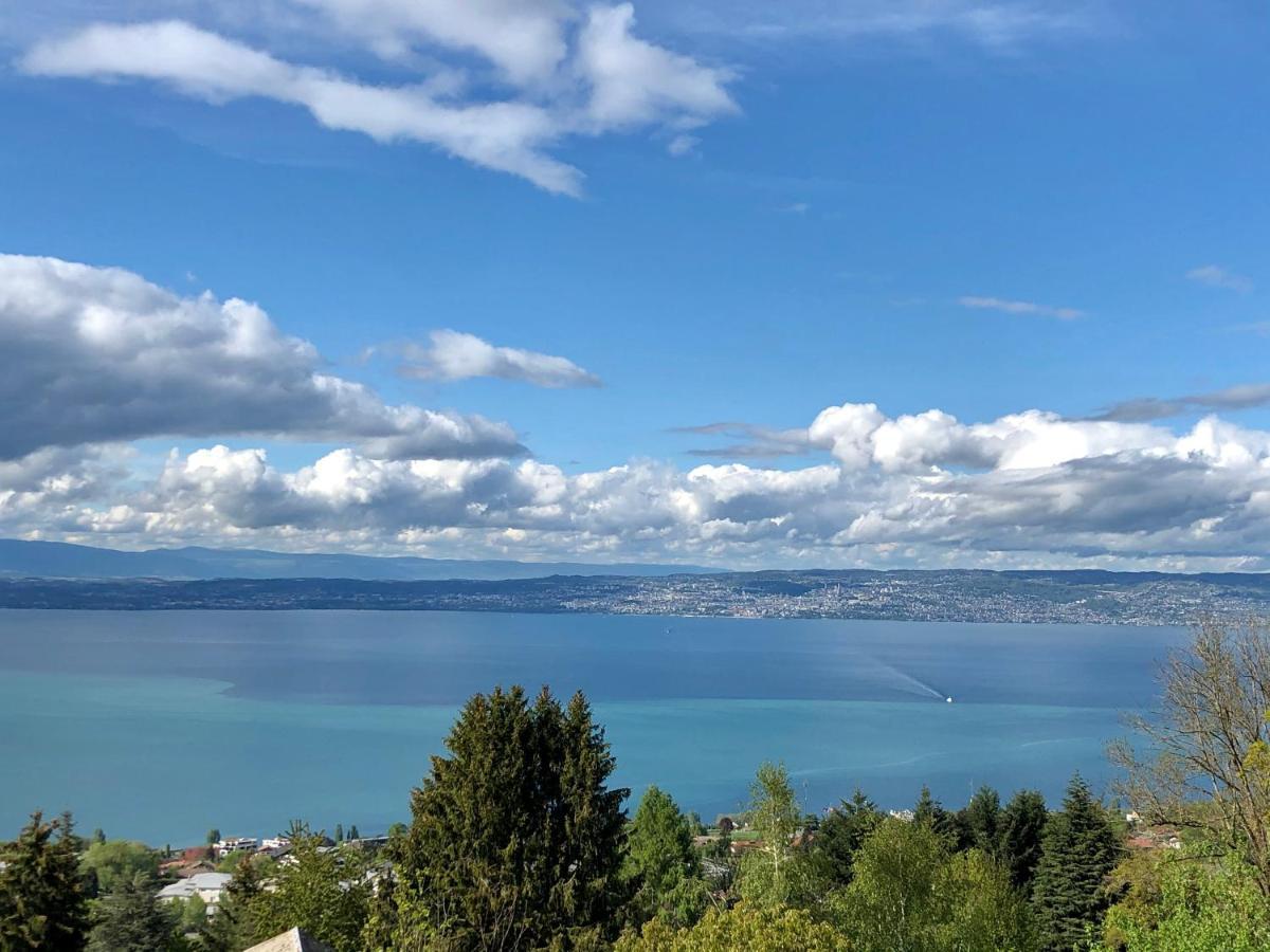 Les Vies En Rose Leilighet Évian-les-Bains Eksteriør bilde